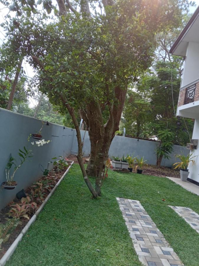 Bed and Breakfast Sky Bloom Homagama Екстер'єр фото
